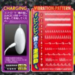 乳首&クリトリス三点同時責めで即昇天:おっぱいカップローターwithクリ